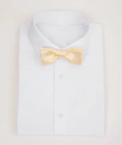 Online Six Stories Boy's Satin Bow Tie