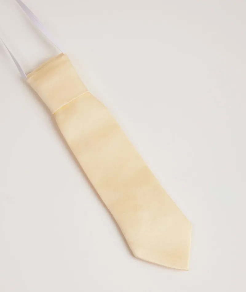 Online Six Stories Boy's Satin Tie