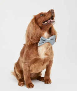 Sale Six Stories Dog Satin Bow Tie