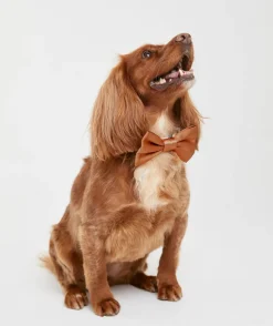Sale Six Stories Dog Satin Bow Tie