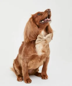 Sale Six Stories Dog Satin Bow Tie