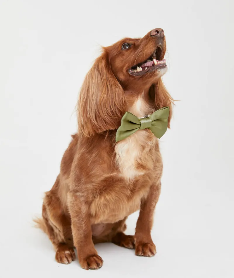 Sale Six Stories Dog Satin Bow Tie