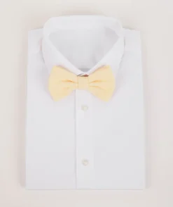 Outlet Six Stories Men's Chiffon Bow Tie
