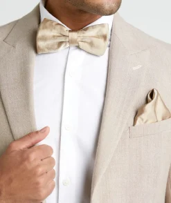Best Six Stories Men's Satin Bow Tie