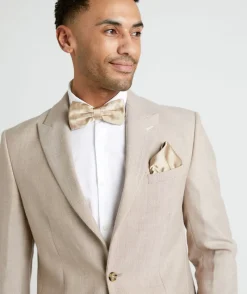 Best Six Stories Men's Satin Bow Tie