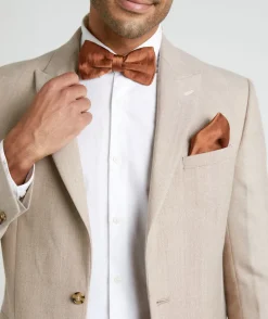 Best Six Stories Men's Satin Bow Tie