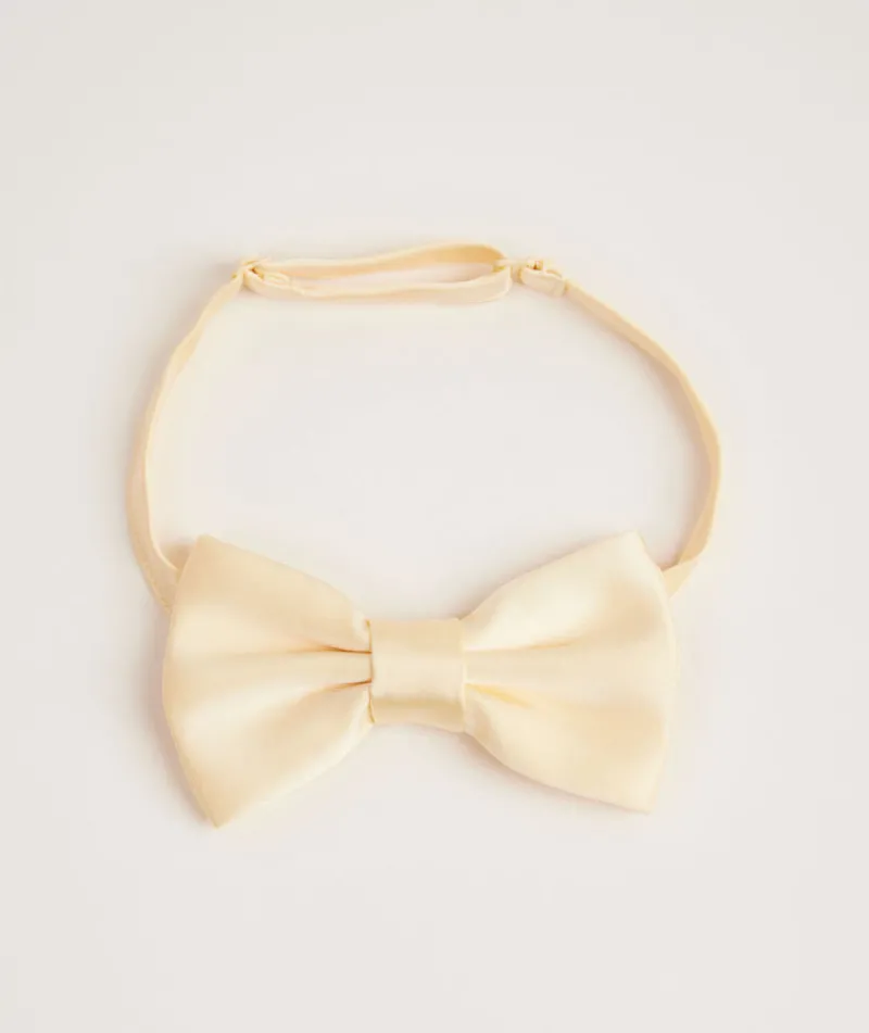 Best Six Stories Men's Satin Bow Tie
